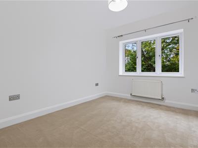 Picture 28
